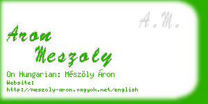 aron meszoly business card